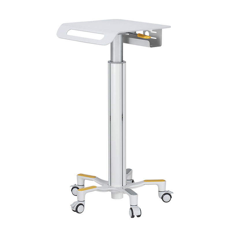 Mobile Computing Cart