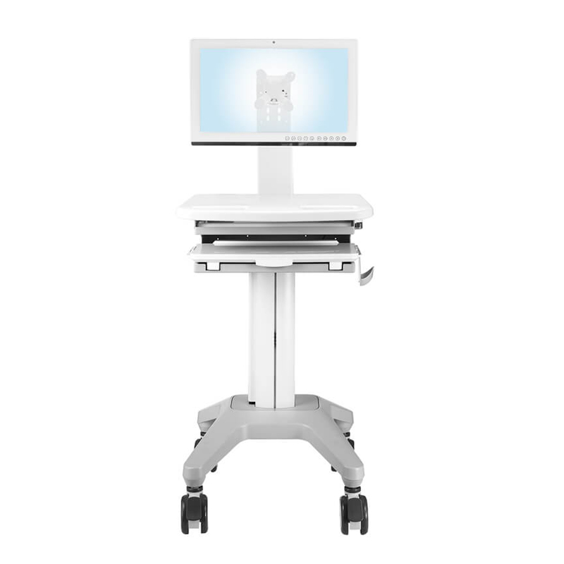 Mobile Computing Cart